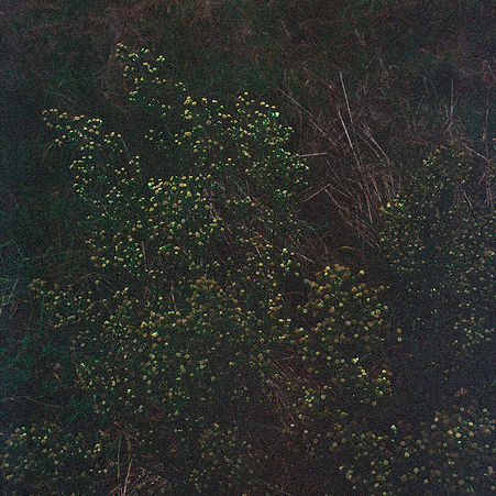 0194-2.jpg
