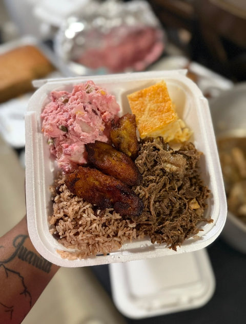 cayman ting plate 2
