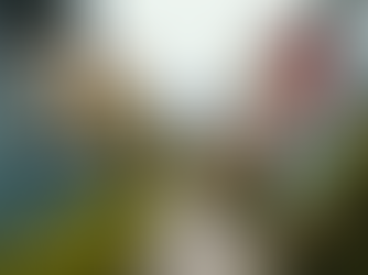 Navigating Bay Area Real Estate: Tips for Buyers