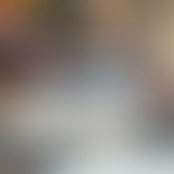 Señala la legisladora mexiquense que automovilistas recurren a esta práctica para evadir infracciones y en algunos casos cometer delitos