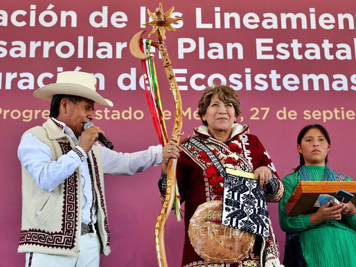 GOBIERNO DE DELFINA GÓMEZ SE FIJA LA META DEPLANTAR 60 MILLONES DE ÁRBOLES EN SEIS MESES