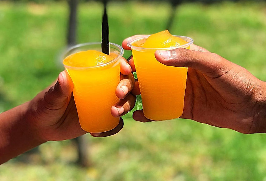 מכונת ברד להשכרה.jpg