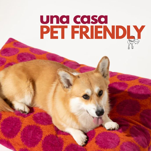 Casa a misura di animali: interior design pet-friendly a Milano