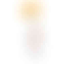 Elisa Spinelli interior Design Milano consulenza idea regalo cosa regalare a Natale interni parma seletti starman