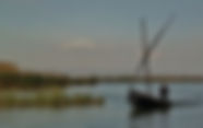 L'Albufera 0.jpg