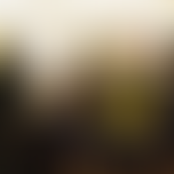 Make The Change x Ngee Ann Polytechnic's Social Innovation Hackathon Sparks Social Change