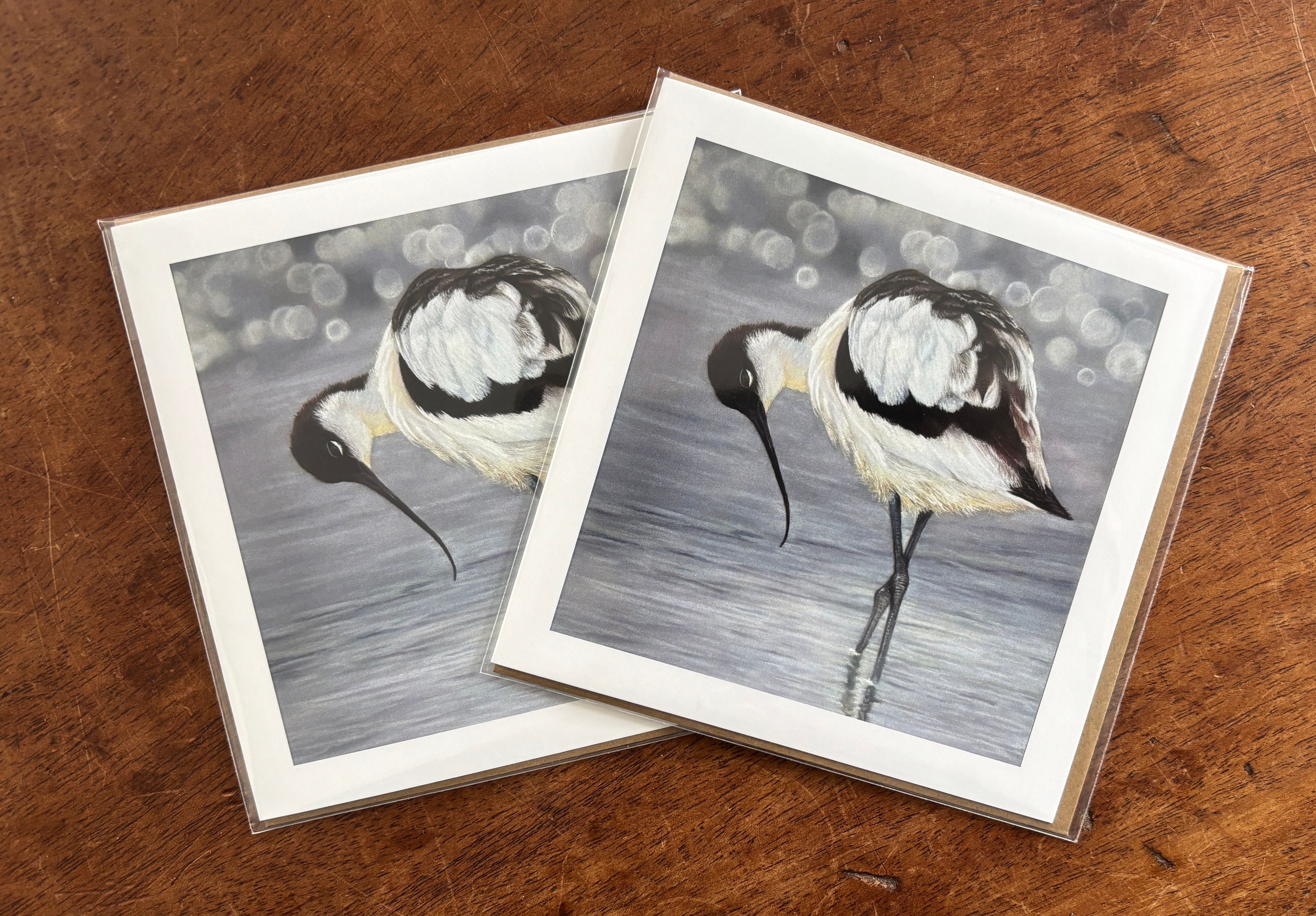 Avocet  greetings card by award winning artist Natalie Swan