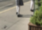 legs of two schoolgirls and a dachshund tail that looks like a shadow