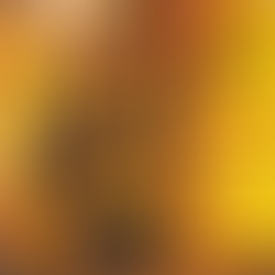 ALISHA Into My Secret