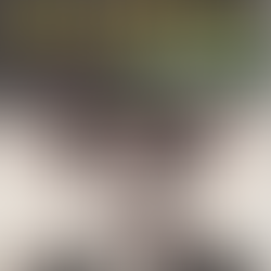 FREQUENCE Qui A Tué J.R ?