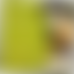 DEAD OR ALIVE Lover Come Back To Me