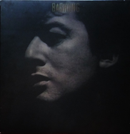Bashung* – Novice Vinyle, LP, Album 1989