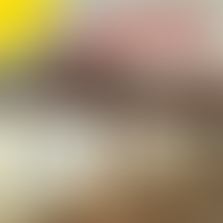 RODOLFO Y SU TIPICA La Colégiala