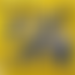 NIK KERSHAW Human Racing