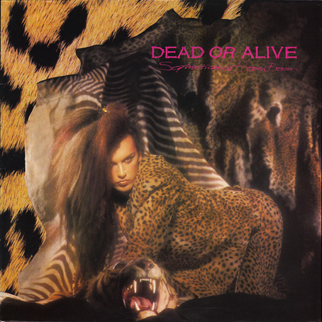 Dead Or Alive – Sophisticated Boom Boom Vinyle, LP, Album 1984