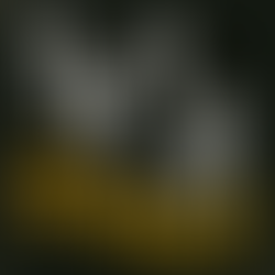 THE ZERO HEROES Freedom Fighters