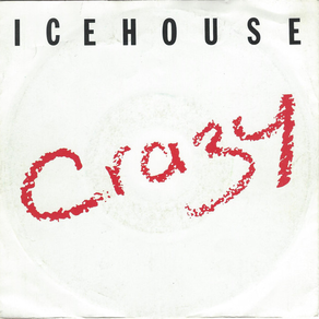 ICEHOUSE Crazy