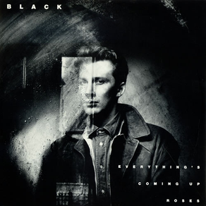 BLACK Everything's Coming Up Roses