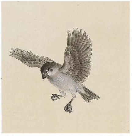 1《话说麻雀》 - 副本 - 副本 - 副本 - 副本 - 副本.jpg