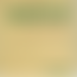 ROXY MUSIC Jealous Guy