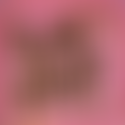 RAOUL PETITE Paris Tokyo