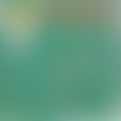 THE TEMPTATIONS Miss Busy Body