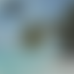 WHAM ! Club Tropicana