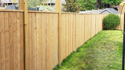 Fence Builder in Ontario.jpg