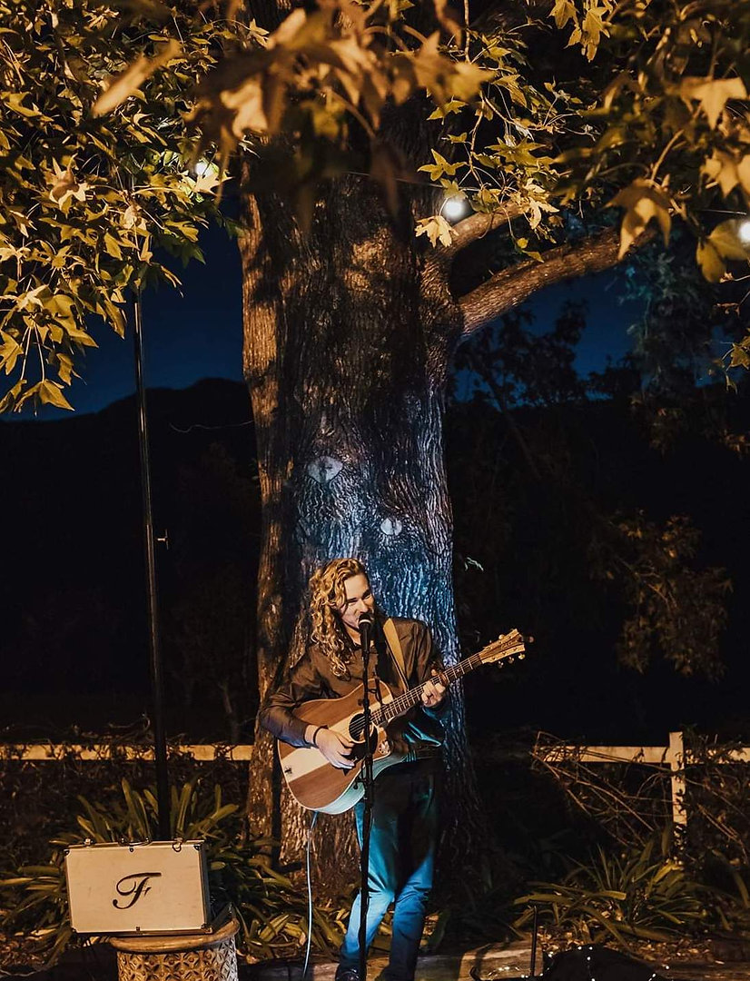 Ole falco music tree.jpeg