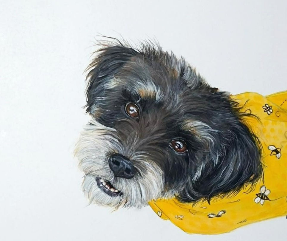 Scruffy painting_edited_edited_edited