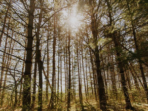 Rethinking “Just Read the Bible”