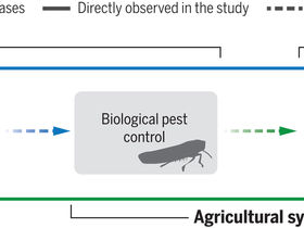 Link Between the Ecosystem and Human Health through Agriculture