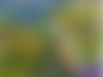 Build Health Places Network Rural Playbook Updates