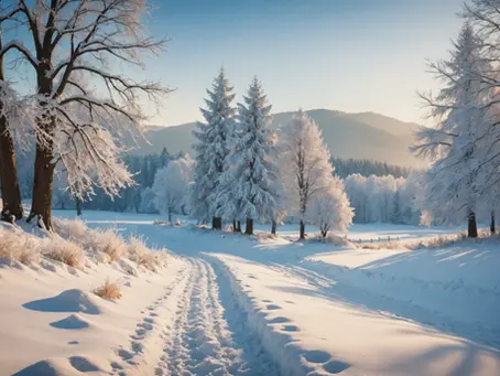 How to Find Peace and Remembrance During the Holiday Season