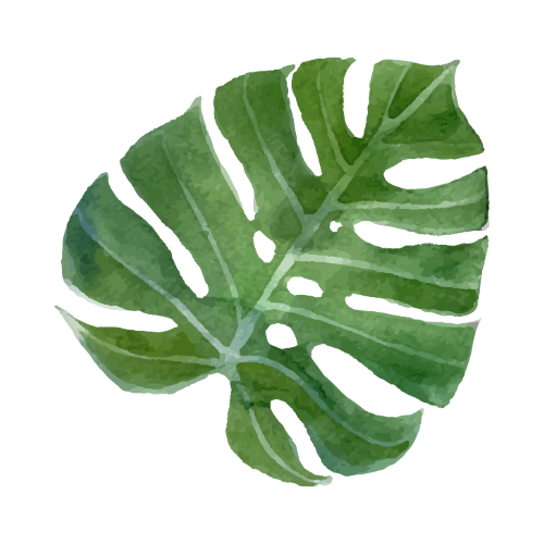 1 leaf