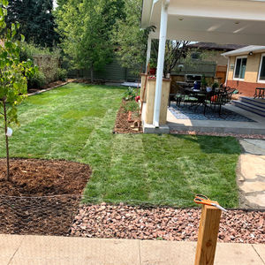 Backyard Landscaping