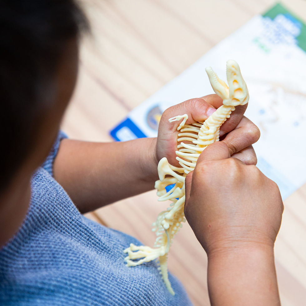 Miniatura: Geo Jr Dino Discovery Dig Triceratops