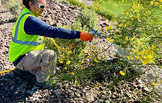 Fertilization & Soil Nutrition