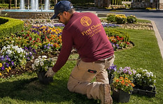 HOA Landscape Enhancements