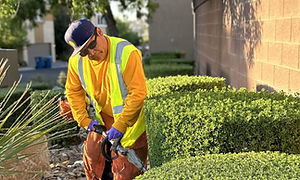 HOA Grounds Maintenance