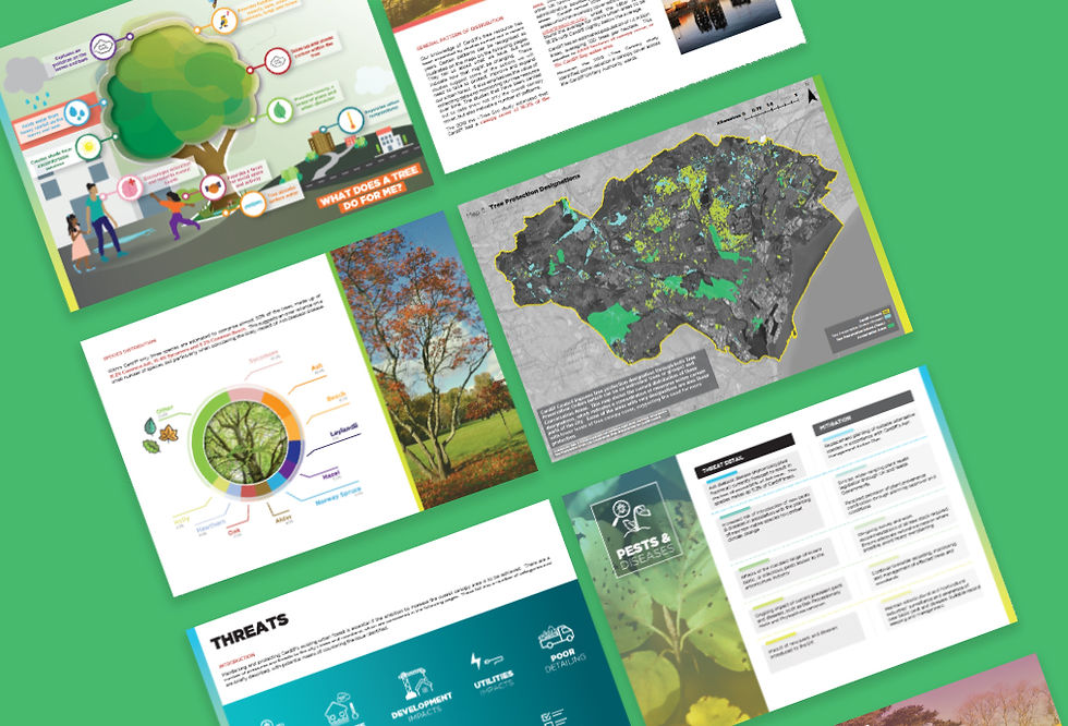 TACP_MAR_CardiffCanopy_P1.jpg
