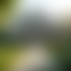 Understanding MLS Listings: Your Guide to Better Investments