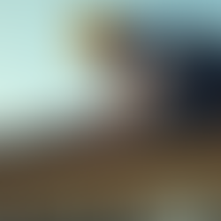 Maximize Property Value with Thorough Inspections