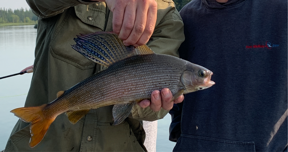 Saskatchewan Fishing Camps