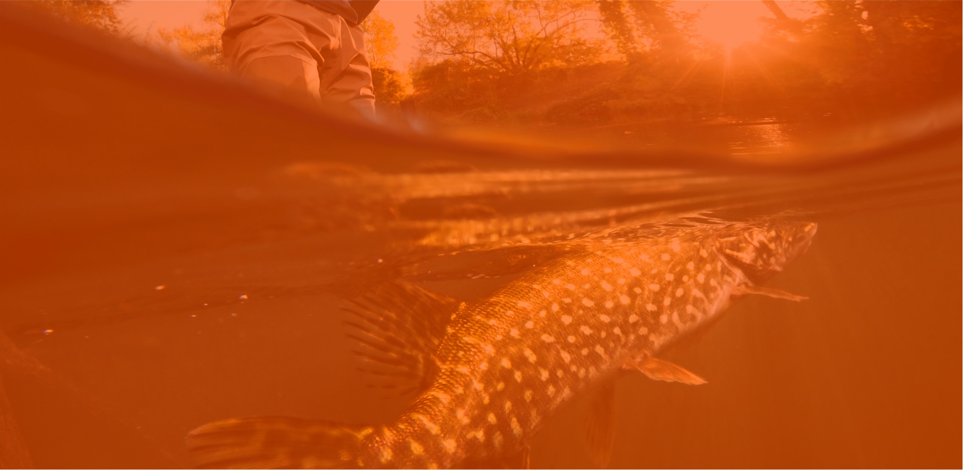 All Inclusive 10 Day Package — Cree Lake Lodge Ltd. – Cree Lake Lodge Ltd.