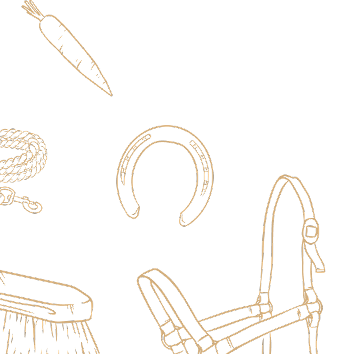 image 7.png