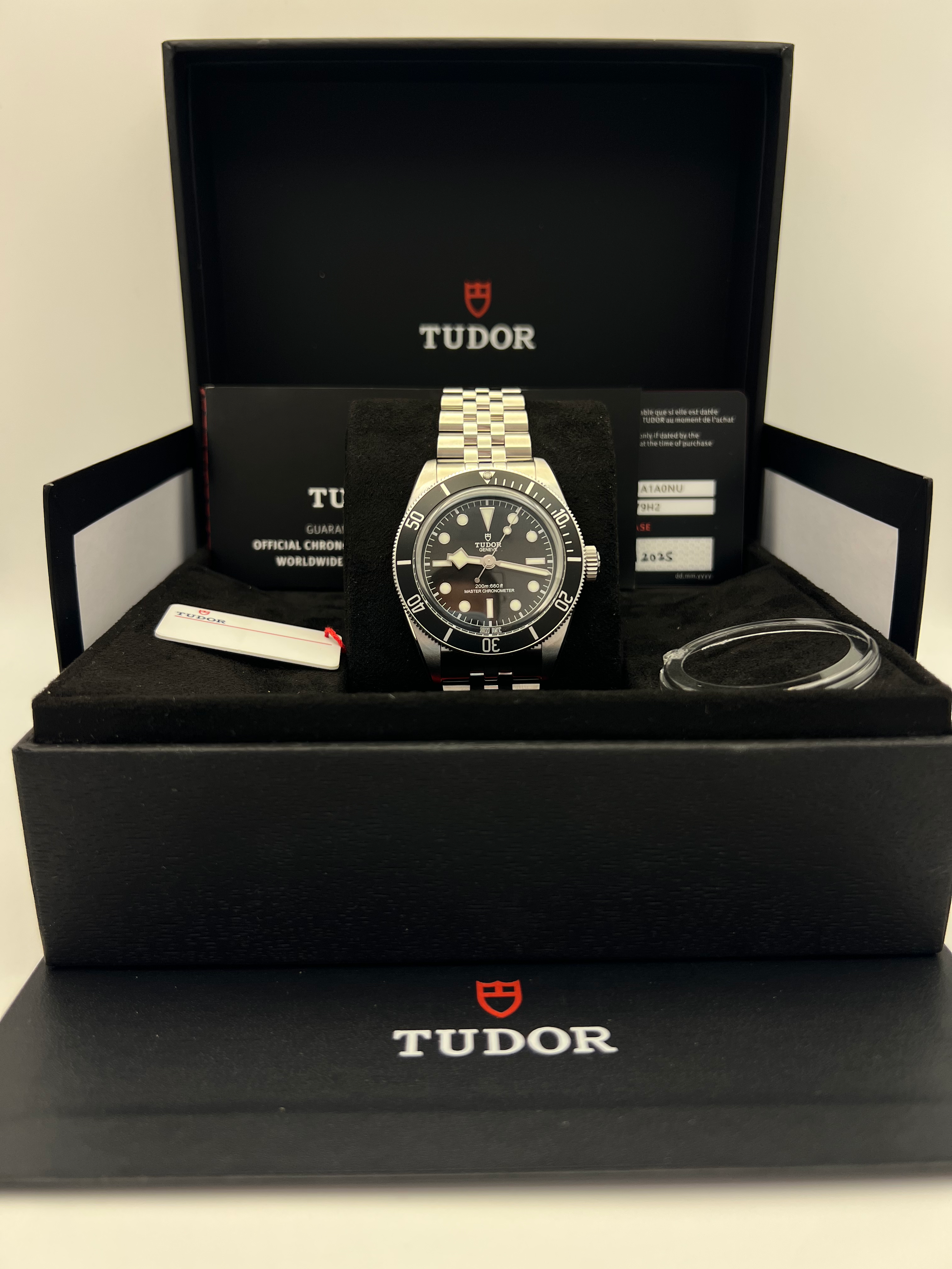 Tudor Black Bay 7941A1A0NU – (2025)