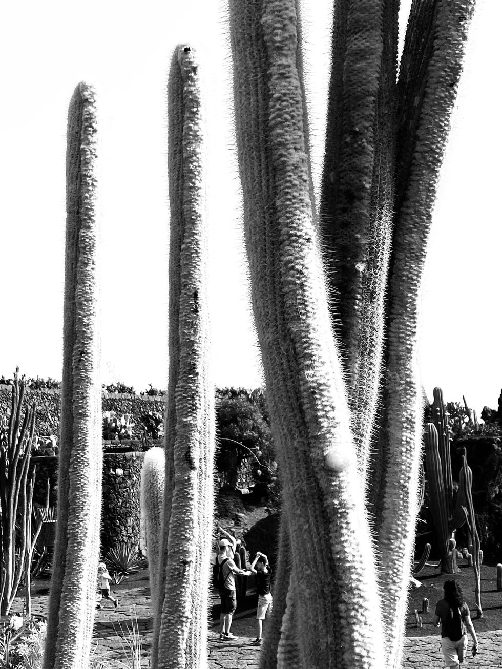 Lanzarote