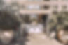 5A8A2114.jpg