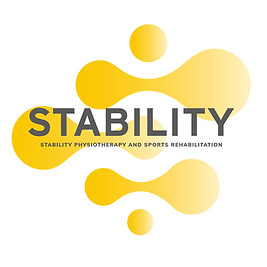 Stability Logo